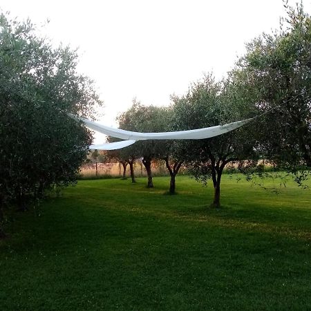 Vecchio Casale Margherita Camaiore Esterno foto
