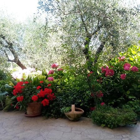 Vecchio Casale Margherita Camaiore Esterno foto