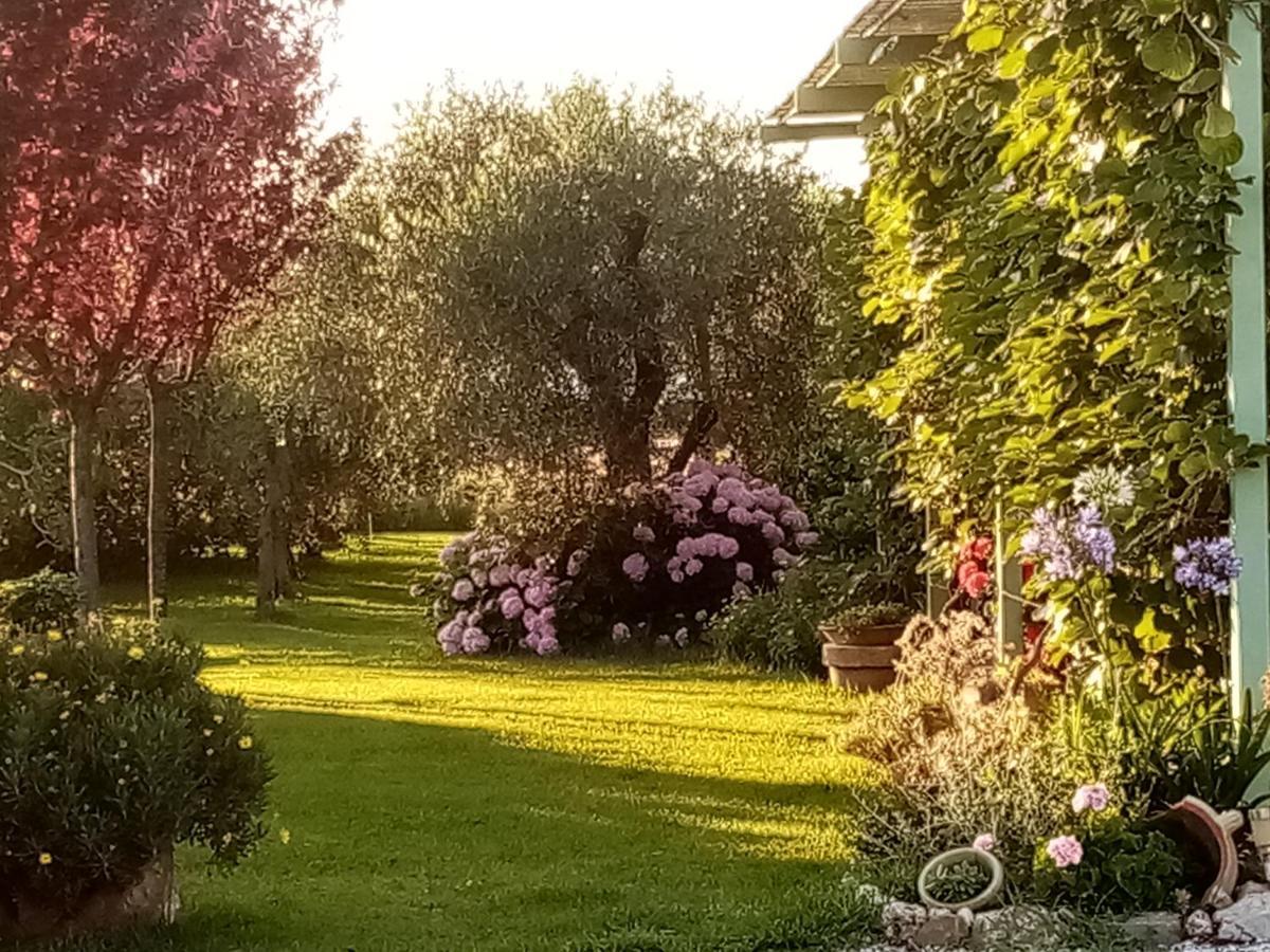 Vecchio Casale Margherita Camaiore Esterno foto