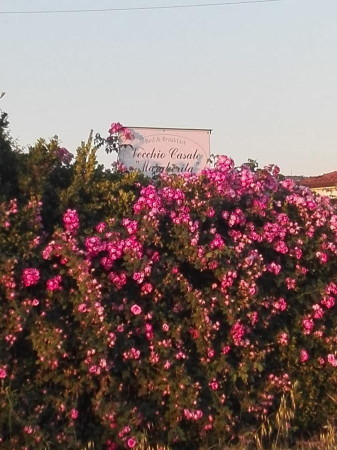 Vecchio Casale Margherita Camaiore Esterno foto